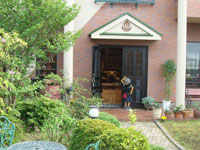 dream-blog-2